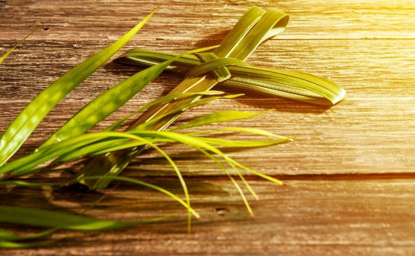 Palm Sunday and Holy Week opportunities