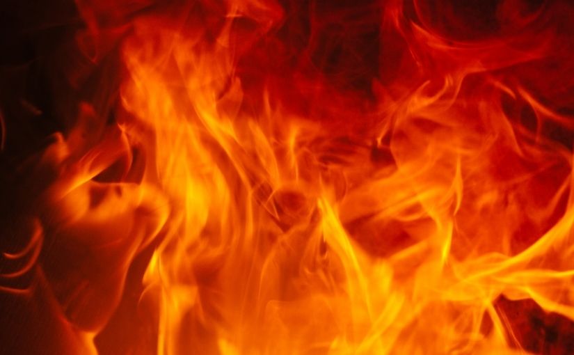 What the Fire Gives