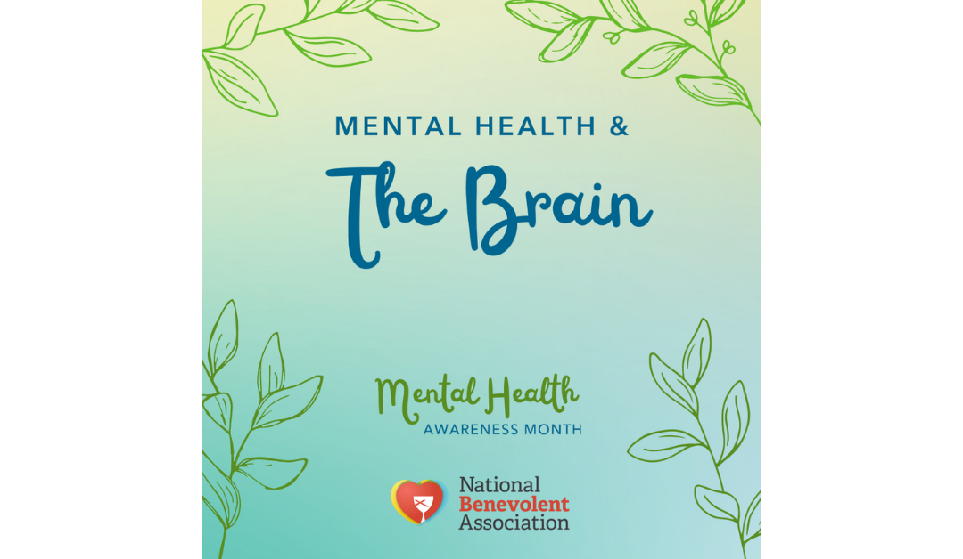 Mental Health and the Brain