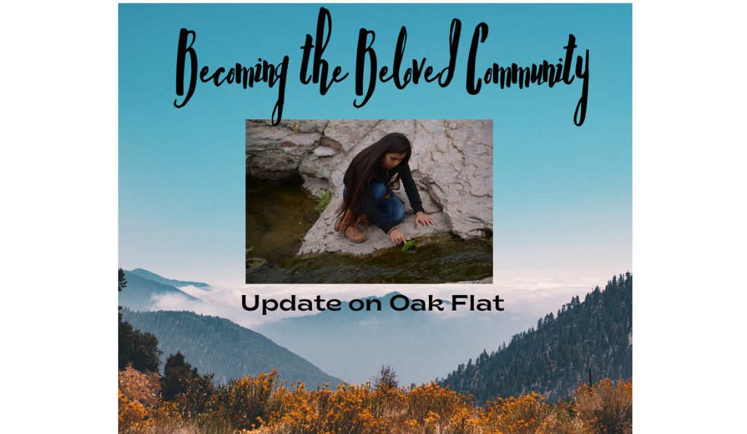 Update on Oak Flat
