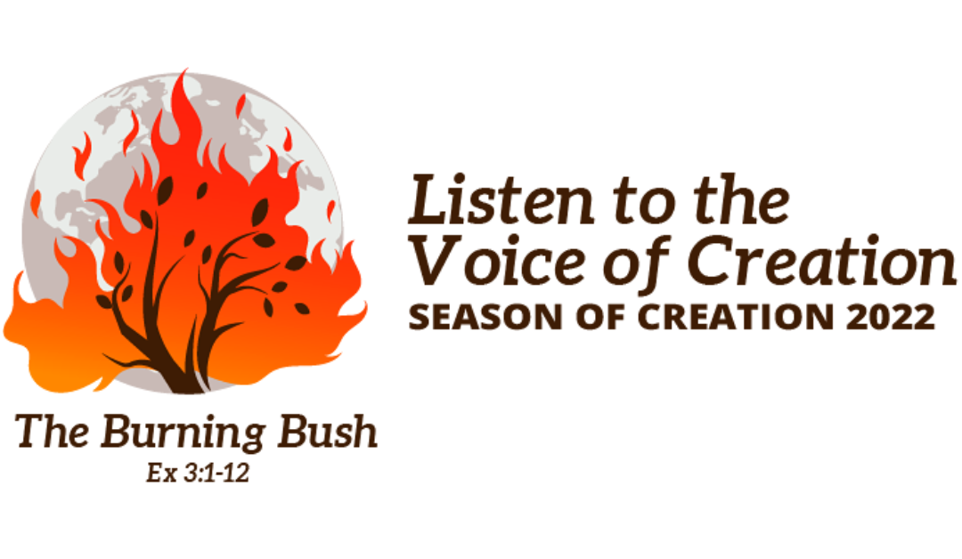 Listen to the Voice of Creation